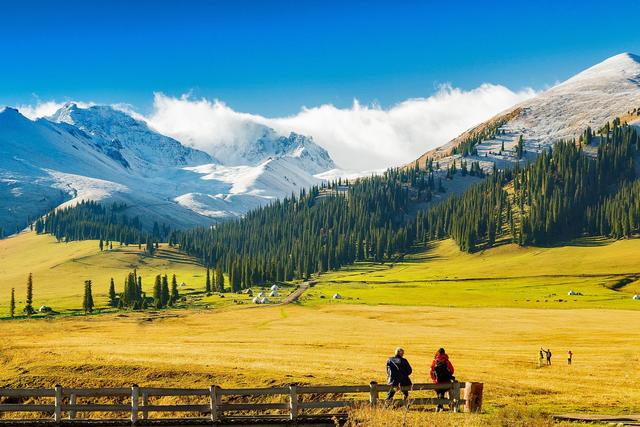 ��100����Ƭ�����������е�ȫ������