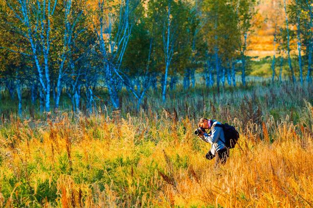 ��100����Ƭ�����������е�ȫ������