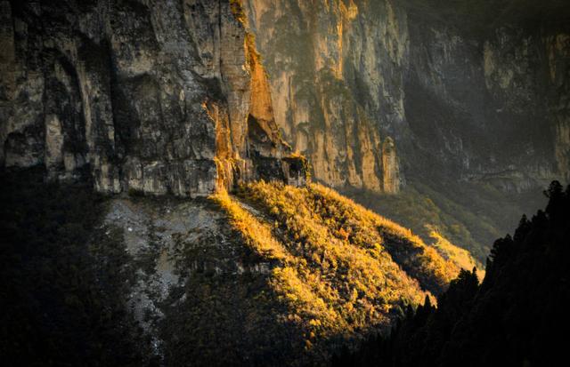 ��100����Ƭ�����������е�ȫ������