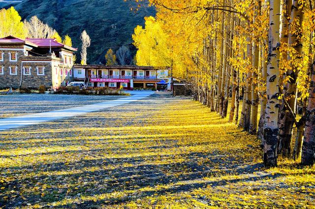 ��100����Ƭ�����������е�ȫ������