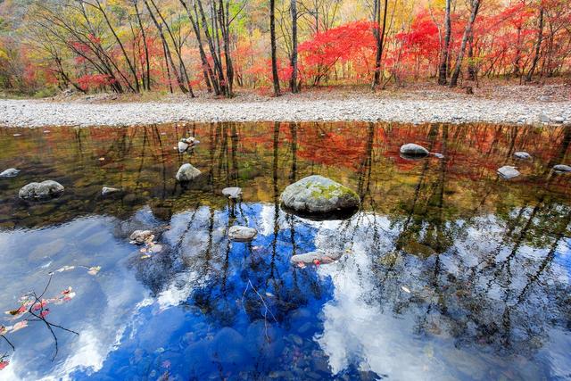 ��100����Ƭ�����������е�ȫ������