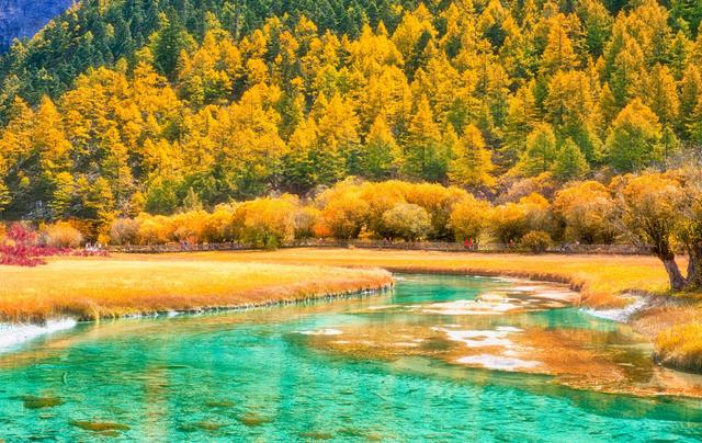 ��100����Ƭ�����������е�ȫ������