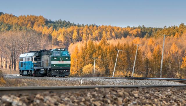 ��100����Ƭ�����������е�ȫ������