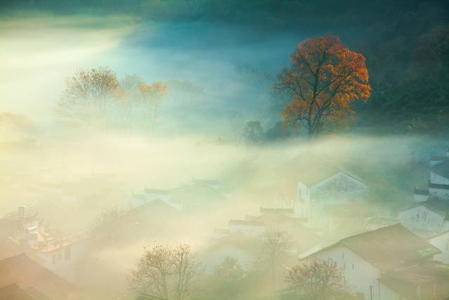 ��100����Ƭ�����������е�ȫ������