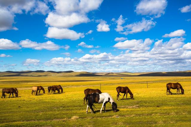 ��100����Ƭ�����������е�ȫ������