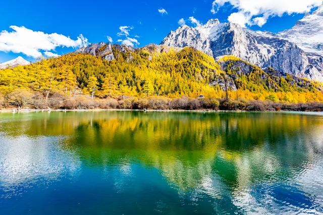 ��100����Ƭ�����������е�ȫ������