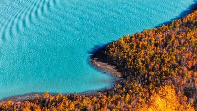 ��100����Ƭ�����������е�ȫ������