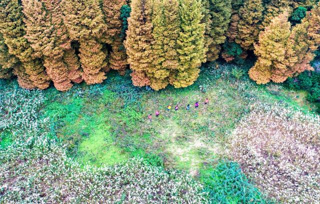 ��100����Ƭ�����������е�ȫ������