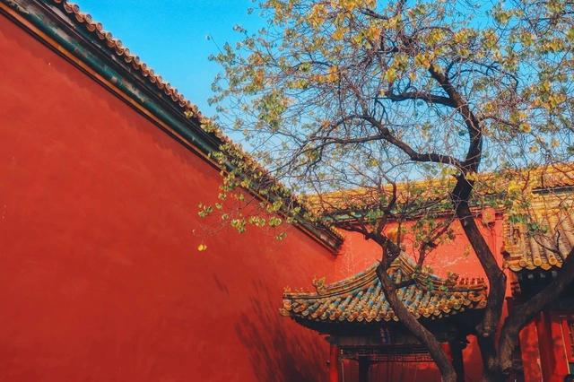 ��100����Ƭ�����������е�ȫ������