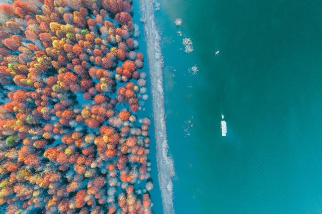 ��100����Ƭ�����������е�ȫ������