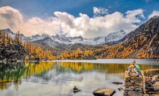 ��100����Ƭ�����������е�ȫ������