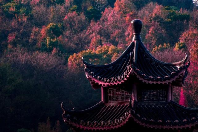 ��100����Ƭ�����������е�ȫ������