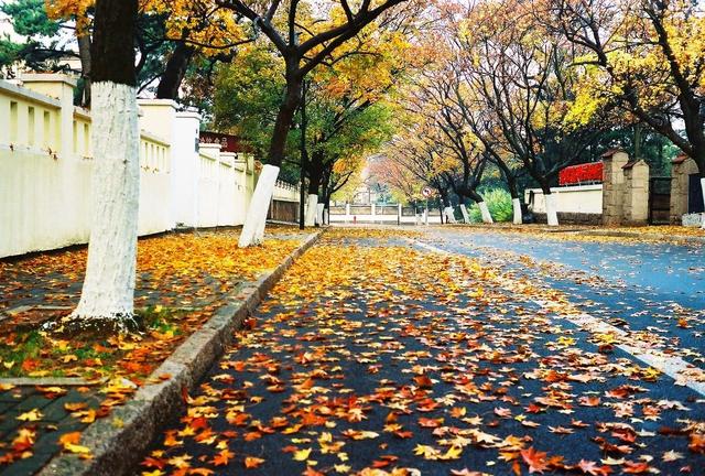 ��100����Ƭ�����������е�ȫ������