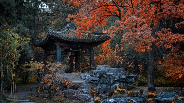 ��100����Ƭ�����������е�ȫ������