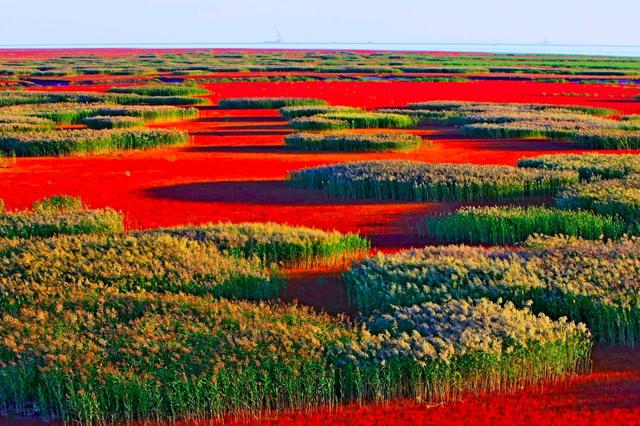 ��100����Ƭ�����������е�ȫ������