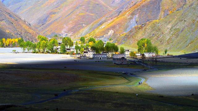 ��100����Ƭ�����������е�ȫ������