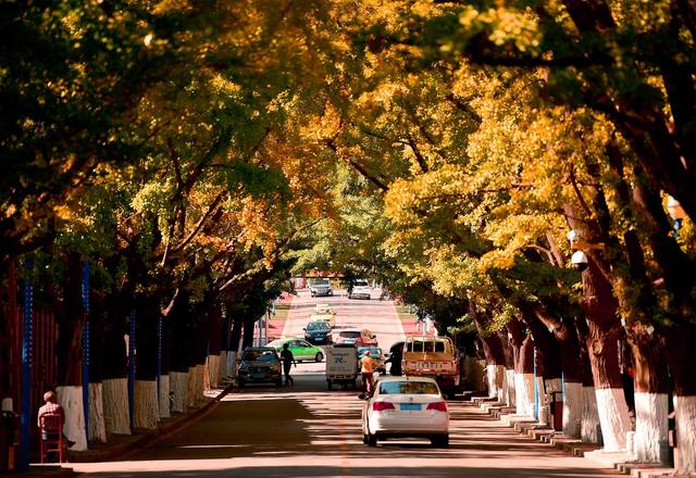 ��100����Ƭ�����������е�ȫ������