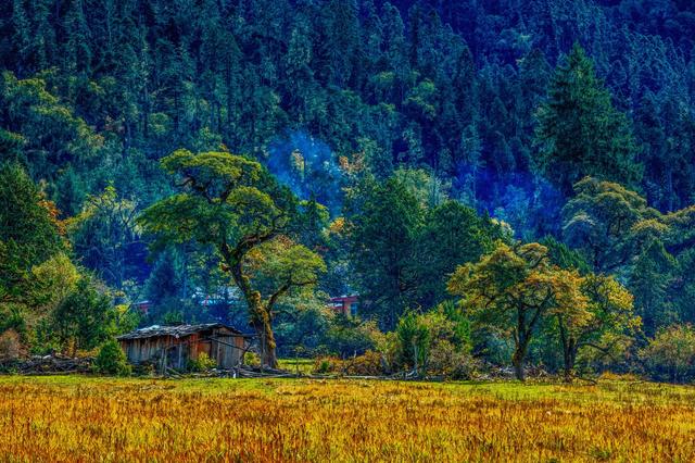 ��100����Ƭ�����������е�ȫ������