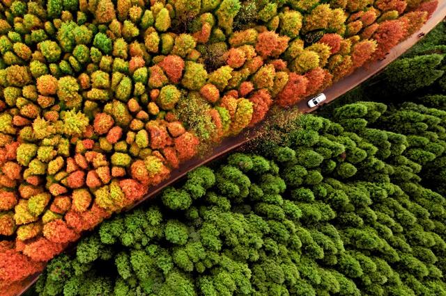 ��100����Ƭ�����������е�ȫ������