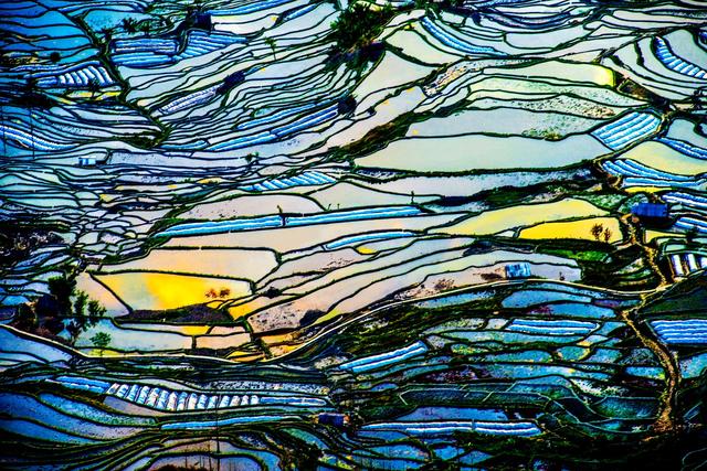 ��100����Ƭ�����������е�ȫ������