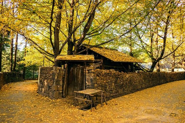 ��100����Ƭ�����������е�ȫ������