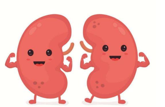 ����������ѧ��ҩ����Ҫ���� ���಻�õ��ˣ���ݻ����嵥���պ�