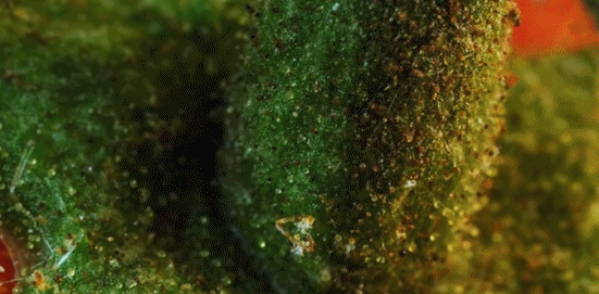 27��С������������0.0001�룬ǧ�����ѿ�������ϥ��