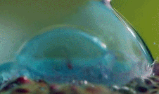 27��С������������0.0001�룬ǧ�����ѿ�������ϥ��