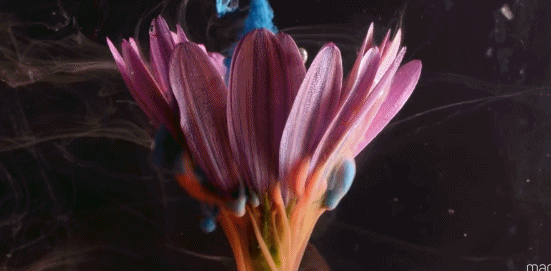 27��С������������0.0001�룬ǧ�����ѿ�������ϥ��