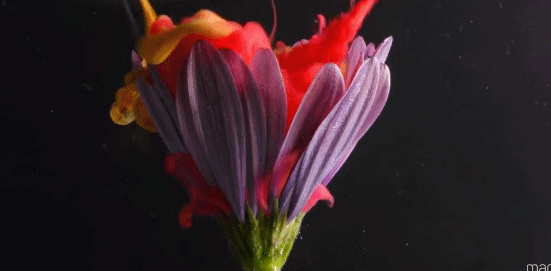 27��С������������0.0001�룬ǧ�����ѿ�������ϥ��