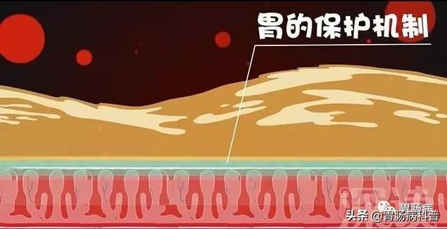 ���θ����ô���ڻ��ģ���Ҫ����3�����֡�4��ϰ��