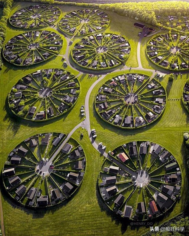 һ��������۽����ʵ�������ڷɻ��Ͼ�����ȫʳ����ʲô���飿