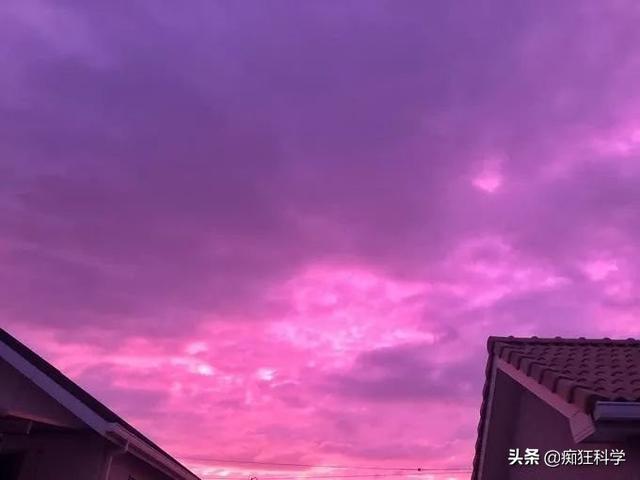 һ��������۽����ʵ�������ڷɻ��Ͼ�����ȫʳ����ʲô���飿