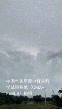 һ��������۽����ʵ�������ڷɻ��Ͼ�����ȫʳ����ʲô���飿