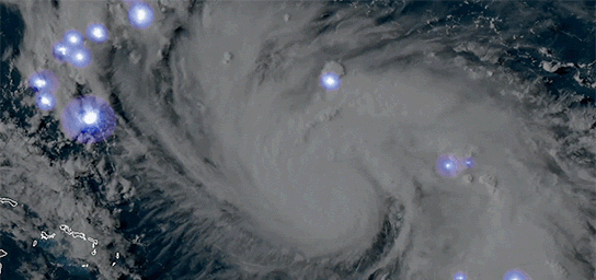 һ��������۽����ʵ�������ڷɻ��Ͼ�����ȫʳ����ʲô���飿