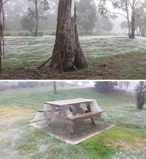 һ��������۽����ʵ�������ڷɻ��Ͼ�����ȫʳ����ʲô���飿