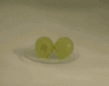 һ��������۽����ʵ�������ڷɻ��Ͼ�����ȫʳ����ʲô���飿