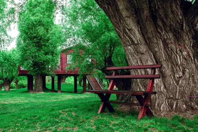 ������ֲ��԰���������߽�����԰������