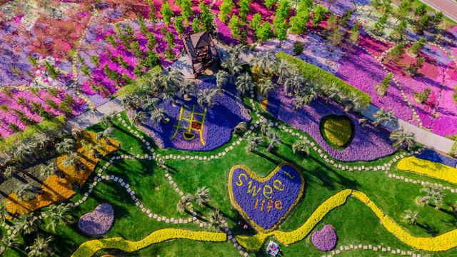 ������ֲ��԰���������߽�����԰������