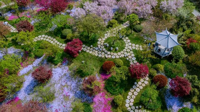 ������ֲ��԰���������߽�����԰������