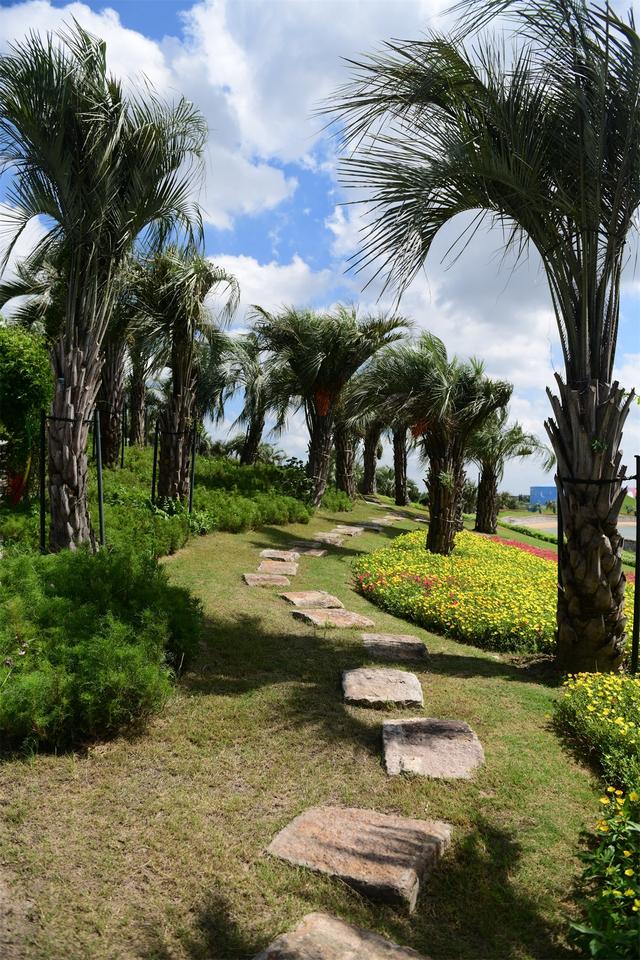 ������ֲ��԰���������߽�����԰������