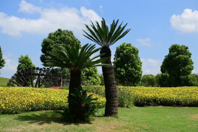 ������ֲ��԰���������߽�����԰������