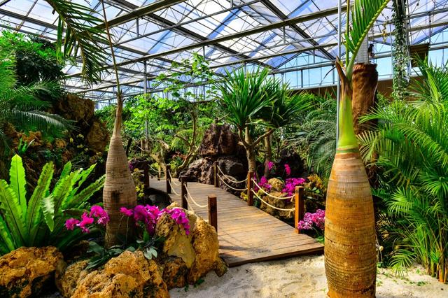 ������ֲ��԰���������߽�����԰������