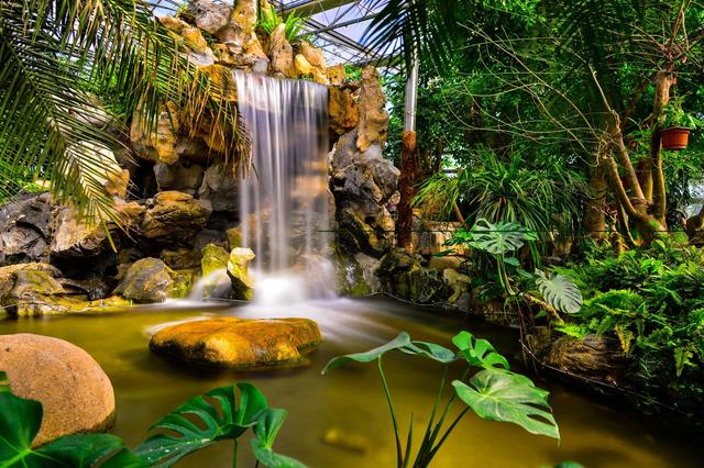 ������ֲ��԰���������߽�����԰������