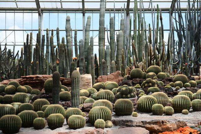 ������ֲ��԰���������߽�����԰������