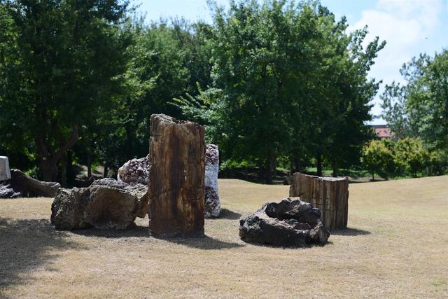 ������ֲ��԰���������߽�����԰������