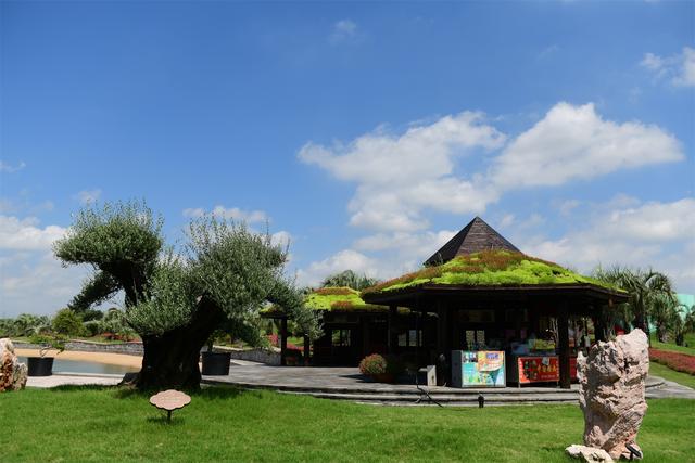 ������ֲ��԰���������߽�����԰������