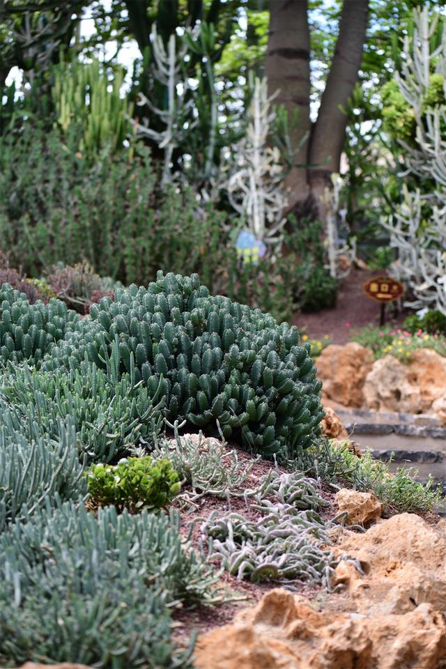 ������ֲ��԰���������߽�����԰������