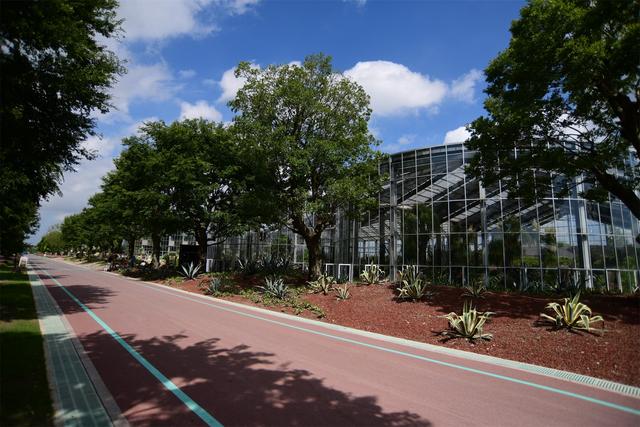 ������ֲ��԰���������߽�����԰������