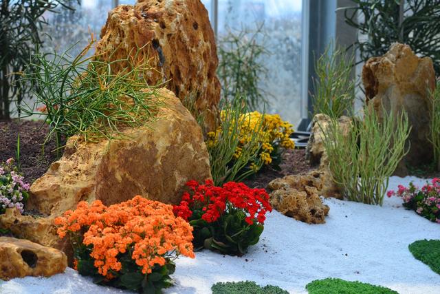 ������ֲ��԰���������߽�����԰������